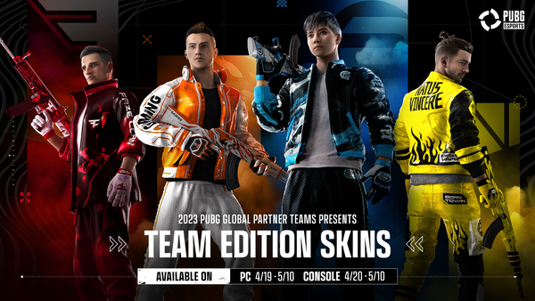 PUBG: BATTLEGROUNDS PUBG Esports: Team Edition Skins