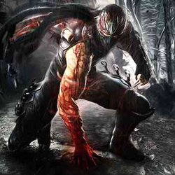 The new Ninja Gaiden will be made by the studio PlatinumGames