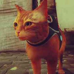 Игра про кота Stray вышла на дисках и заняла третью строчку продаж в Великобритании