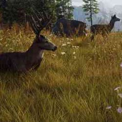 Pacific Northwest Wildlife in Way of the Hunter's Fresh Simulator Trailer