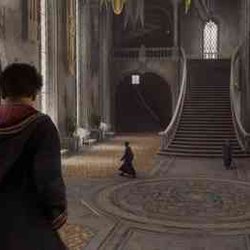 There may be several endings in Hogwarts Legacy  the final is influenced by the player's decisions