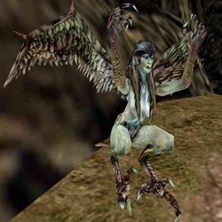 The developers of the Gothic remake presented an updated design of harpies