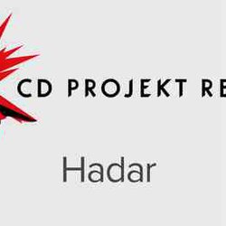 Первая игра по оригинальной франшизе от CD Projekt RED будет в жанре RPG